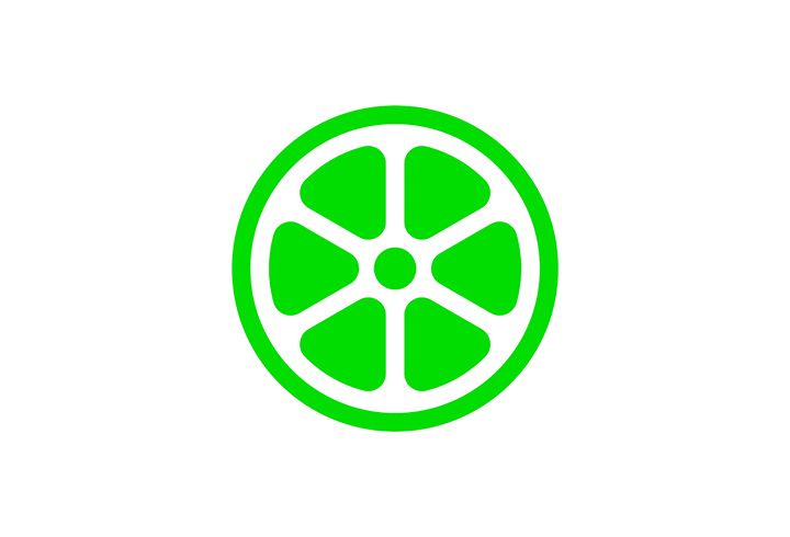 Lime: The fastest growing micro-mobility company